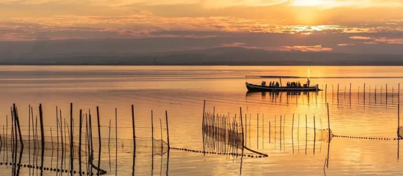 Visita guiada a la Albufera de Valencia